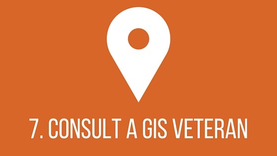 GIS Consultant