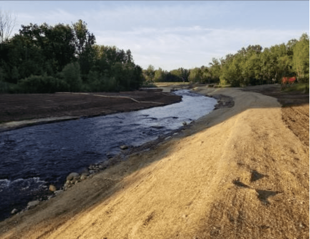 Large Woody Debris Design and Installation